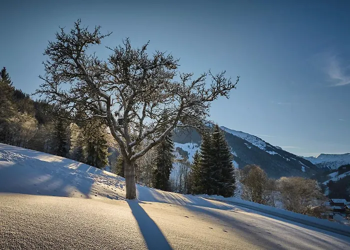 Nani - Mountain Saalbach-Hinterglemm