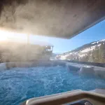 Nani - Mountain Alpstuga Saalbach-Hinterglemm