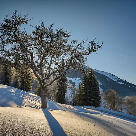 Nani - Mountain سالباخ هينترغليم