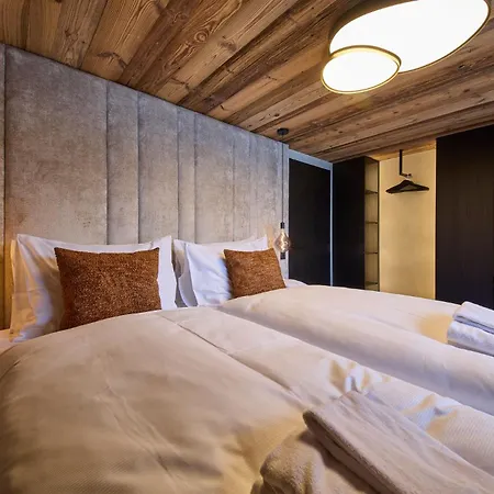 Nani - Mountain شاليه سالباخ هينترغليم